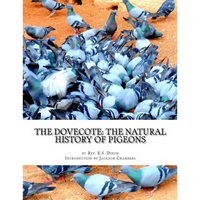 The Dovecote: The Natural History of Pigeons: Pigeon Classics Book 13 - Paperback