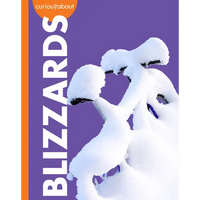 Curious about Blizzards - Paperback