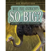 Why Are Ostriches So Big?: And Other Curious Bird Adaptations - Library Binding