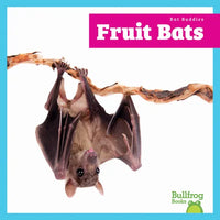 Fruit Bats - Paperback