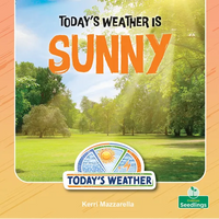 Today's Weather Is Sunny - Paperback