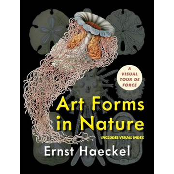 Art Forms in Nature (Dover Pictorial Archive) - Paperback