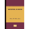 Waterfowl in Winter