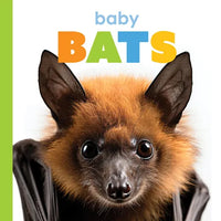 Baby Bats - Paperback