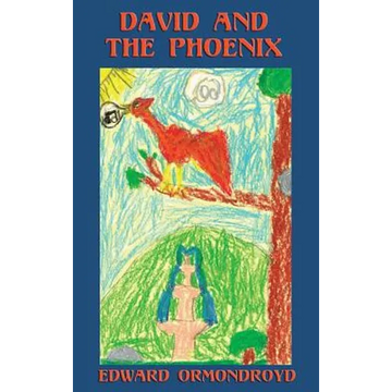 David and the Phoenix (Illustrated) - Hardcover