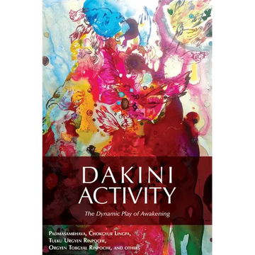 Dakini Activity: The Dynamic Play of Awakening - Paperback