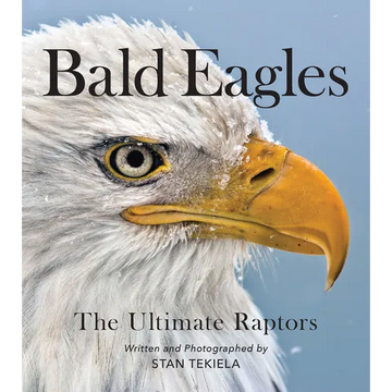 Bald Eagles: The Ultimate Raptors - Paperback