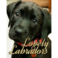 Lovely Labradors