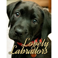 Lovely Labradors - Paperback
