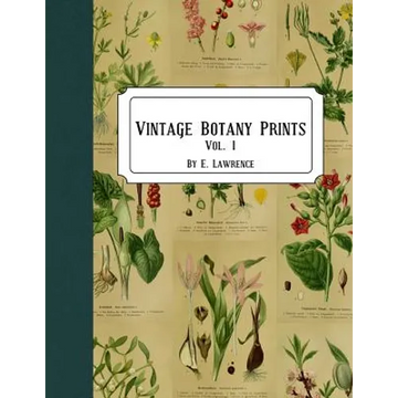 Vintage Botany Prints: Vol. 1 - Paperback