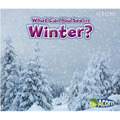 What Can You See in Winter?