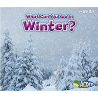 What Can You See in Winter? - Paperback