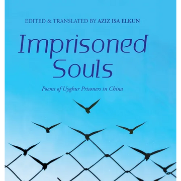 Imprisoned Souls - Hardcover