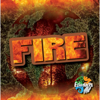 Fire - Library Binding