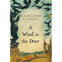 A Wind in the Door - Paperback