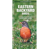 Eastern Backyard Birds: An Introduction to Familiar Urban Species - Paperback