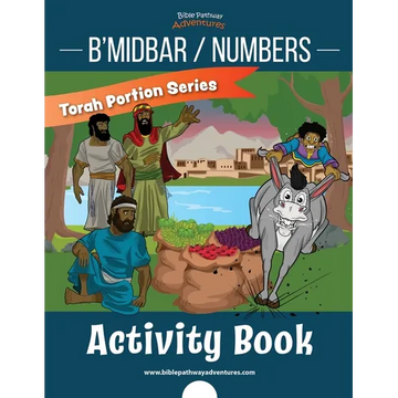 B'midbar / Numbers Activity Book: Torah Portions for Kids - Paperback