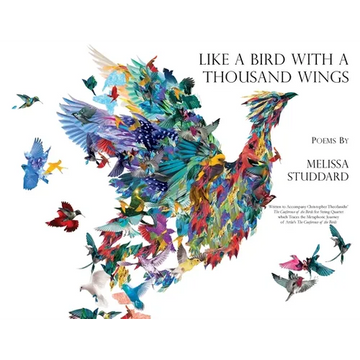 Like a Bird with a Thousand Wings - Paperback