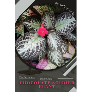 Chocolate Soldier Plant: Plant Guide - Paperback