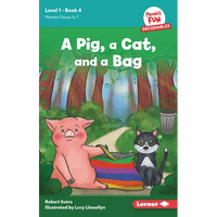 A Pig, a Cat, and a Bag: Book 4 - Paperback