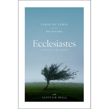 Ecclesiastes: Chasing the Wind - Paperback