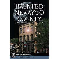Haunted Newaygo County - Paperback