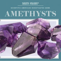 Amethysts - Library Binding