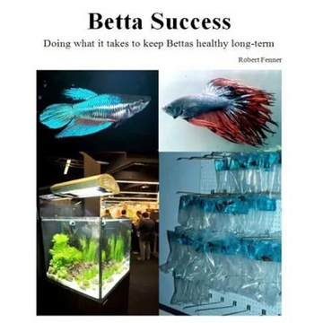 Betta Success: Doing what it takes to keep Bettas healthy long-term - Paperback