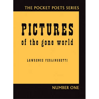 Pictures of the Gone World - Paperback