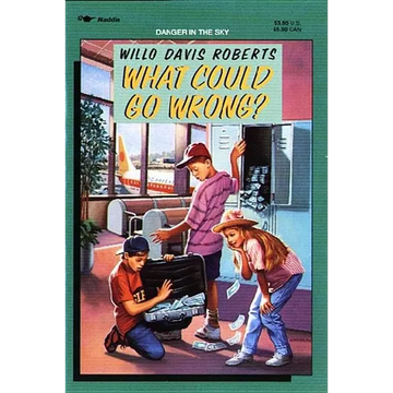 What Could Go Wrong? - Paperback
