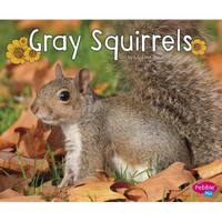 Gray Squirrels - Paperback