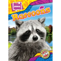 Raccoons - Library Binding