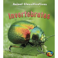 Invertebrates - Paperback