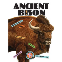 Ancient Bison - Paperback
