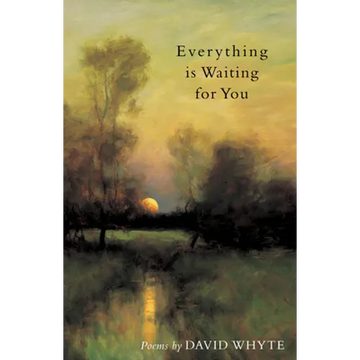 Everything Is Waiting for You - Paperback