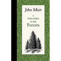 A Wind-Storm in the Forests - Hardcover