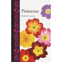 Primrose - Hardcover