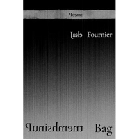 Punishment Bag: Poems - Paperback
