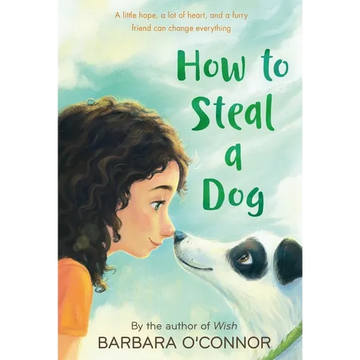 How to Steal a Dog - Paperback