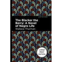 The Blacker the Berry: A Novel of Negro Life - Paperback