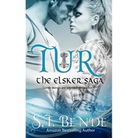 Tur: The Elsker Saga - Paperback