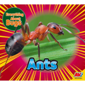 Ants
