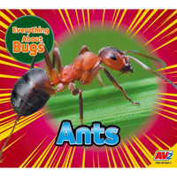 Ants - Paperback