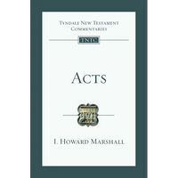 Acts: An Introduction and Commentary - Paperback