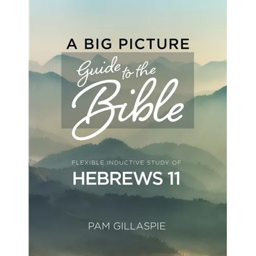 A Big Picture Guide to the Bible: A Flexible Inductive Study of Hebrews 11 - Paperback