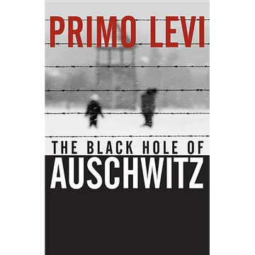 The Black Hole of Auschwitz - Paperback