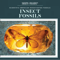 Insect Fossils - Library Binding