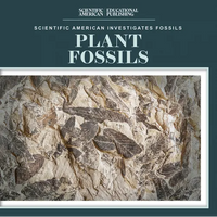 Plant Fossils - Library Binding