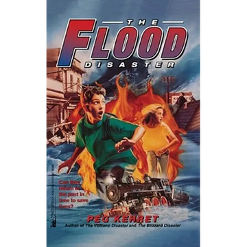 The Flood Disaster - Paperback