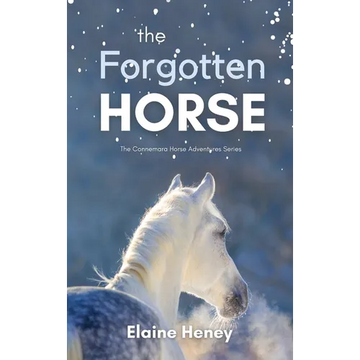 The Forgotten Horse - Book 1 in the Connemara Horse Adventure Series for Kids The Perfect Gift for Children - Hardcover